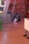 fR34hJmGsLt6HQ8is4ASpTC9ysS